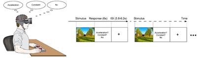 Temporal Dynamics of Visually Induced Motion Perception and Neural Evidence of Alterations in the Motion Perception Process in an Immersive Virtual Reality Environment